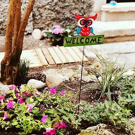 Oda ve Kahvaltı Arsenale